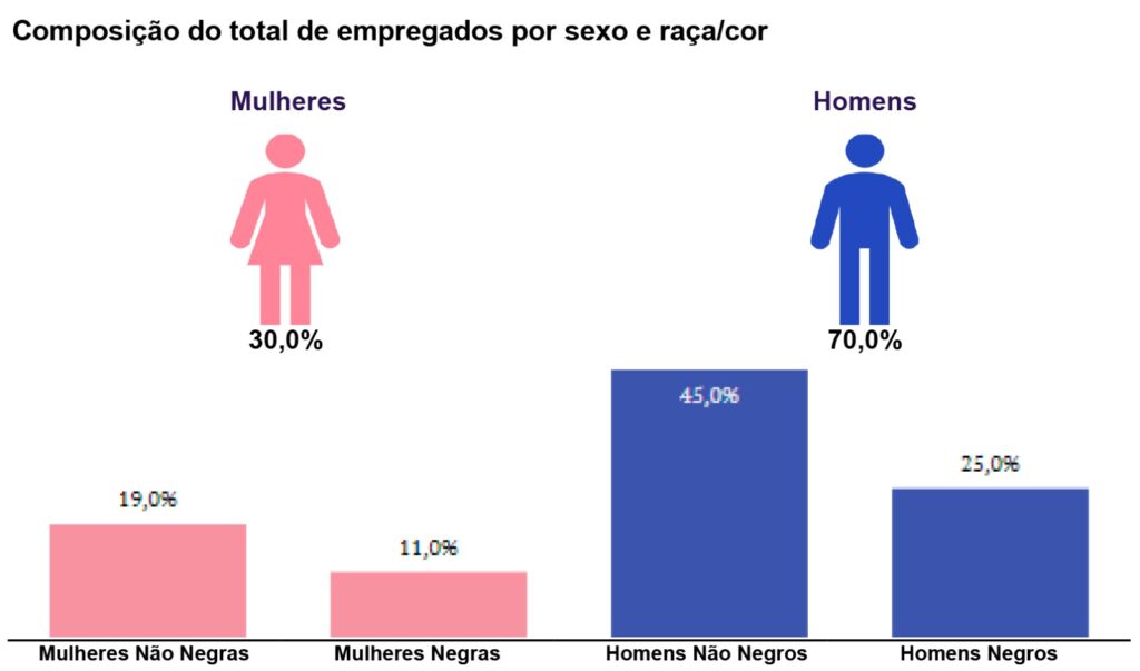 A imagem apresenta um infográfico intitulado "Composição do total de empregados por sexo e raça/cor", que utiliza gráficos de barras e ícones para detalhar a demografia de uma força de trabalho.